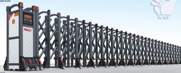 天鷹王最強款K1H8169